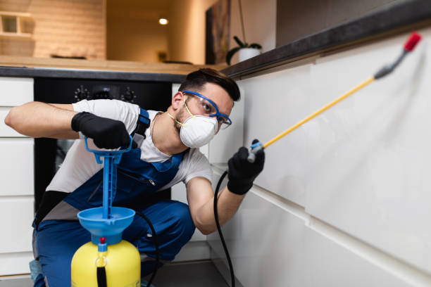 Best Best Pest Control Companies  in Texas City, TX