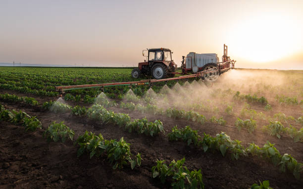 Best Ant Control Services  in Texas City, TX