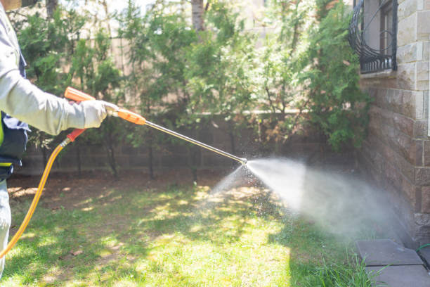 Trusted Texas City, TX Pest Control Experts