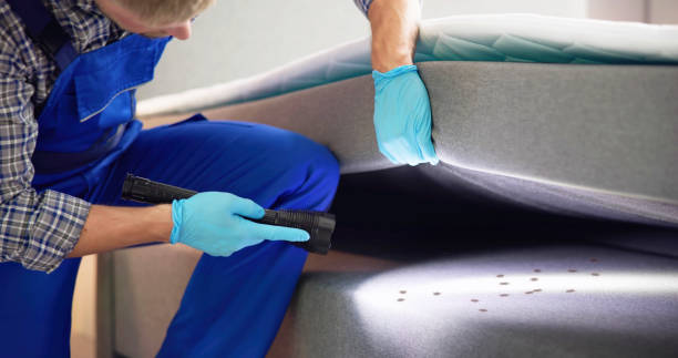 Best Local Pest Control Services  in Texas City, TX