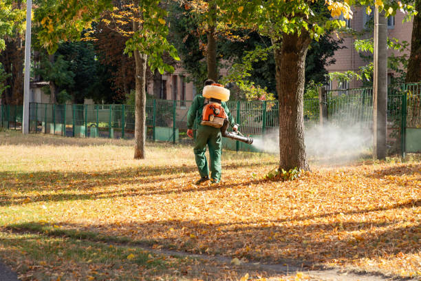 Best Exterminator Services  in Texas City, TX