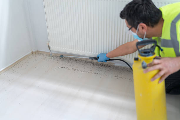 Best Termite Control Services  in Texas City, TX