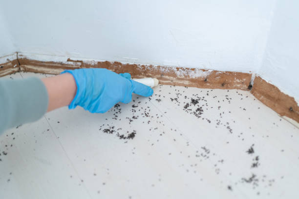 Pest Control Cost in Texas City, TX